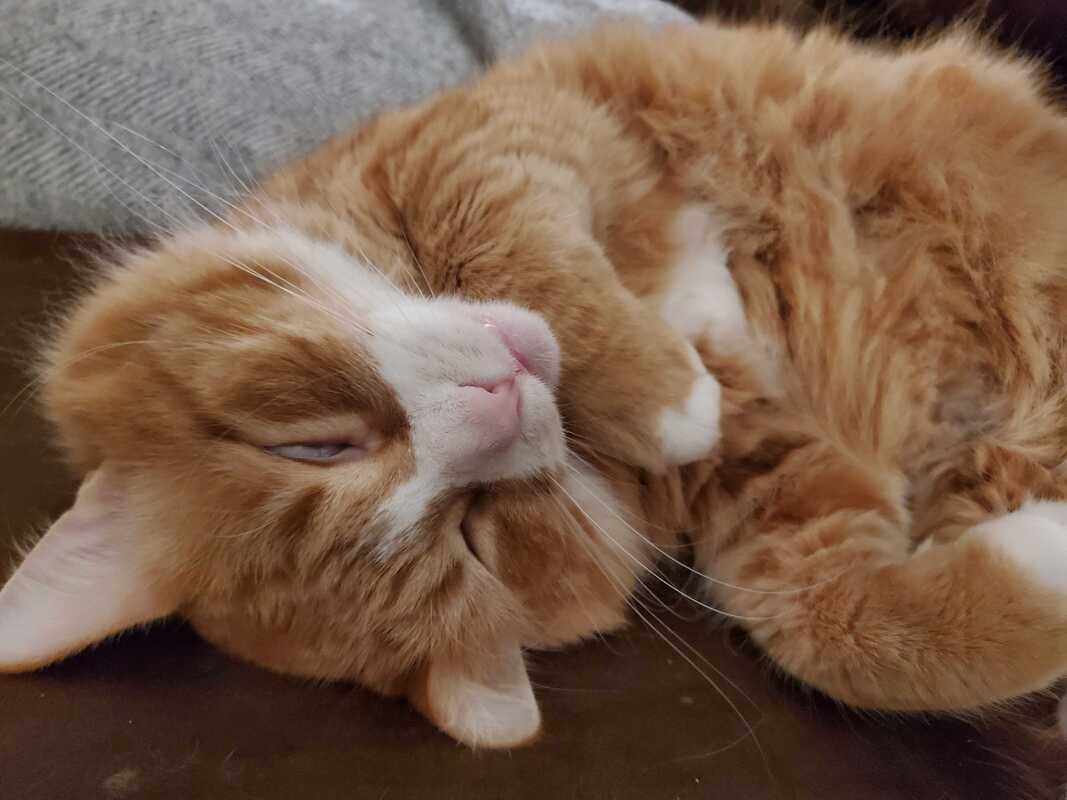 pasha has lost your page :(